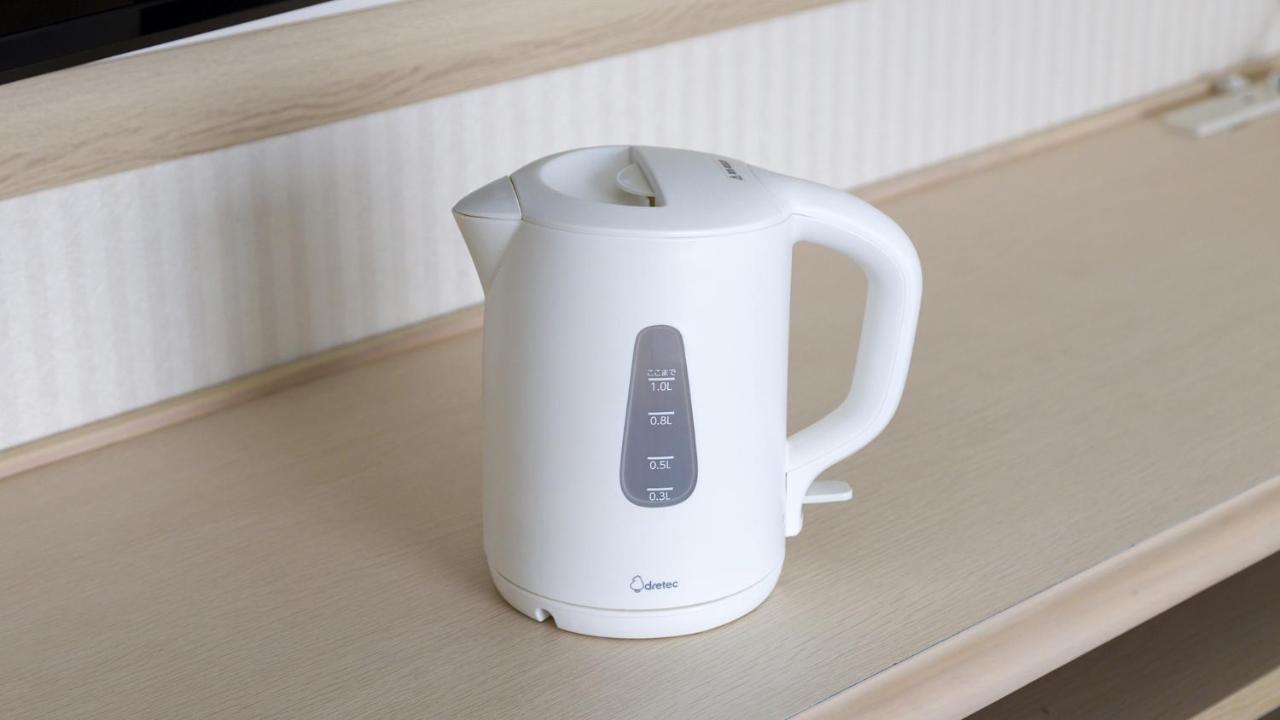 Toyoko Inn Ebina Eki Higashi Guchi Εξωτερικό φωτογραφία